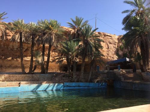 a pool of water with palm trees in the background at Birgits Bed & Bistro in Madkhal Meski