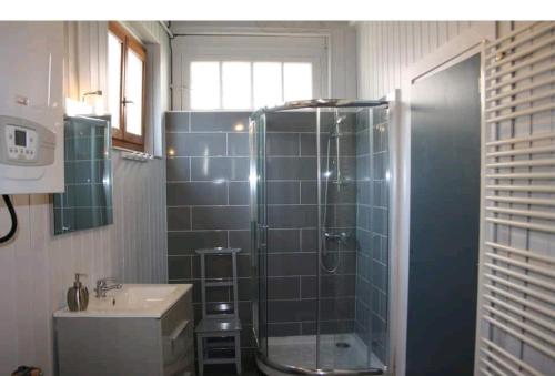 een badkamer met een douche en een wastafel bij **Gîte Du Homard ** in Fécamp