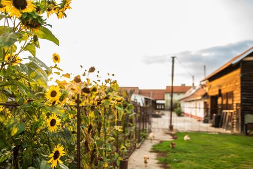 Jardin de l'établissement Penzion Na výminku