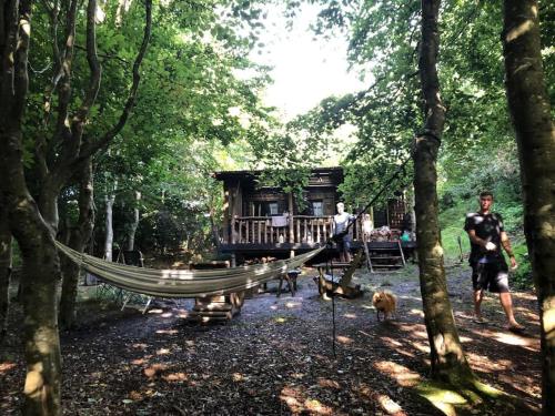 a hammock in the woods with a man and a dog at Secret Woodland Hideaway for two in Ilfracombe