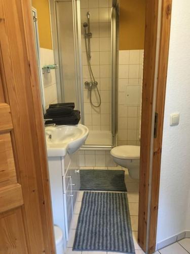 a bathroom with a shower and a sink and a toilet at Nette Wohnung gute Austattung Parkplatz Terrasse in Greifswald