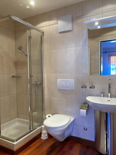 ein Bad mit einer Dusche, einem WC und einem Waschbecken in der Unterkunft Guardaval in Arosa