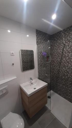 a bathroom with a toilet and a sink and a shower at Apartman Pio in Senj