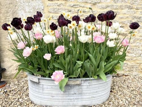 a bunch of flowers in a tin bucket at Beautiful self-contained Cotswolds Barn in Yatton Keynell