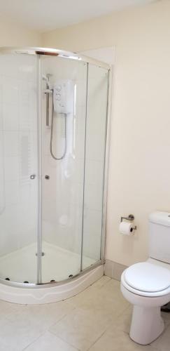 a bathroom with a glass shower with a toilet at Seven Stars- hot tub & garden with fabulous views. in Llandrindod Wells