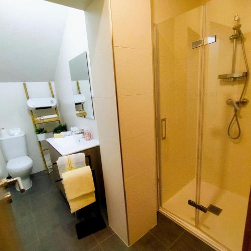 a bathroom with a shower and a sink and a toilet at Casa do Rio in Termas de Sao Pedro do Sul