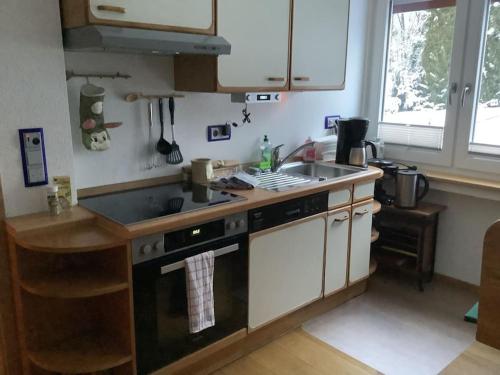 a kitchen with a sink and a stove top oven at Ferienwohnung Apartment Doppelzimmer in der Villa Naturpark Rheinblick, ruhig, Aussicht, Pool in Koblenz