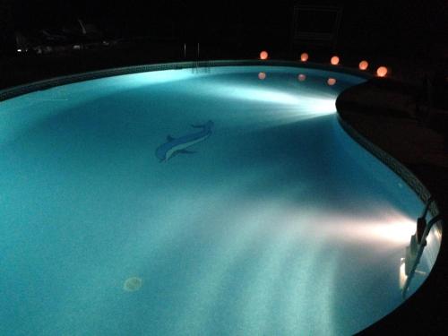 una piscina por la noche con un delfín en el agua en A Casa da Celeste, en Fagilde