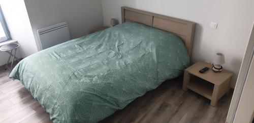 a bed with a green comforter in a bedroom at Appartement T2 45 m² en centre-ville in Ax-les-Thermes