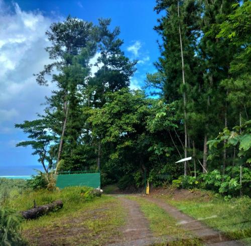 a green bench on a dirt road with trees at Sunset rooms - Auberge Polynésienne in Tevaitoa