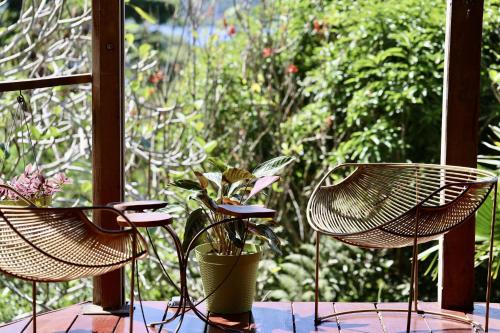 zwei Stühle und eine Pflanze im Fenster in der Unterkunft Eden Jungle Lodge in Bocas del Toro