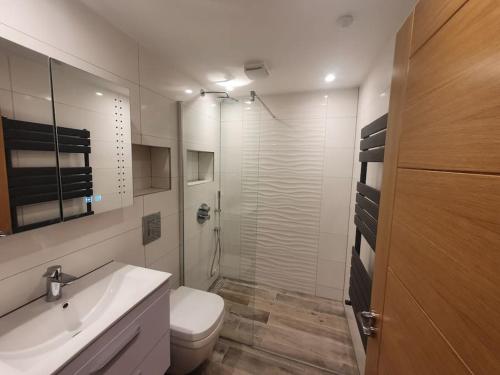 e bagno con servizi igienici, lavandino e doccia. di Luton Town Centre Executive Apartment a Luton