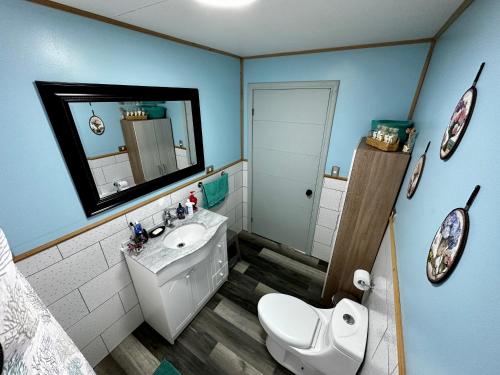 a bathroom with a sink and a toilet and a mirror at Bella casa de campo con panorámica vista al mar in Dalcahue