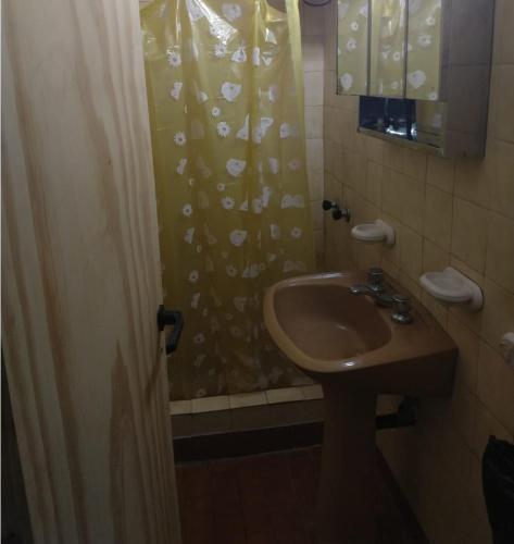 baño con lavabo y cortina de ducha en Edificio Barracuda en Santa Teresita