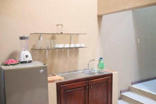 a kitchen with a sink and a refrigerator at Casco histórico Demeter in Comayagua