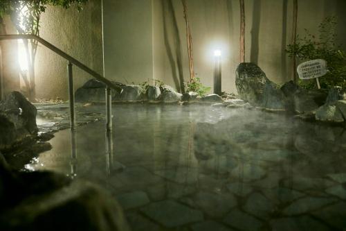 a pool of water in a room with rocks at KAMENOI HOTEL SHIOBARA Dog Friendly Hotel in Nasushiobara