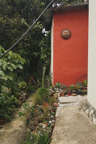 Taman di luar Cabaña Campestre en Oaxaca