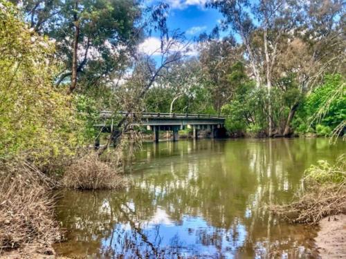 a bridge over a river with trees at Alexandra Parklife Studio 5 in Alexandra