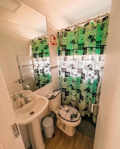 Un baño con lavabo, inodoro y cortina de ducha. en Casa Alicura Pucon, en Pucón