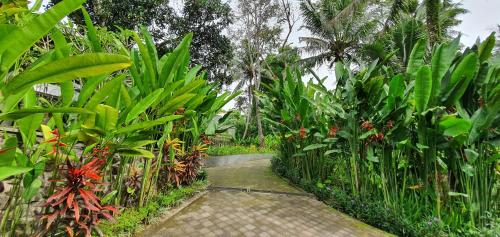 a path through a garden with plants and trees at Cahaya Indah Villas in Ubud