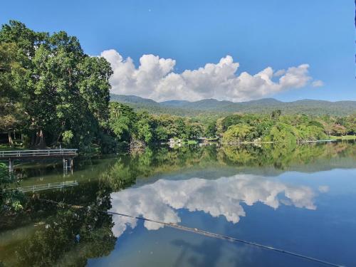 une rivière reflétant les arbres et les nuages dans l'eau dans l'établissement Doodle Lodge Chiang Mai, à Chiang Mai