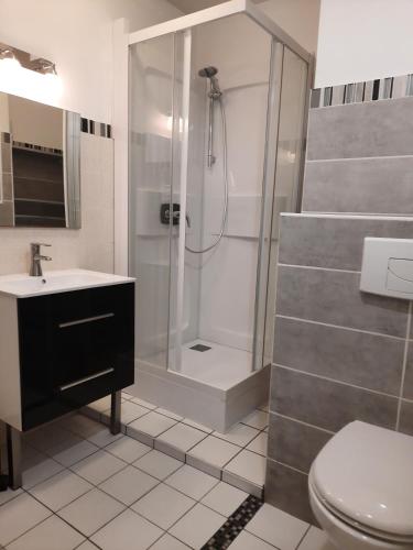 une salle de bain avec une douche, des toilettes et un lavabo dans l'établissement kérentrée - Appartement en centre ville avec terrasse et parking privé, à Pont-lʼAbbé