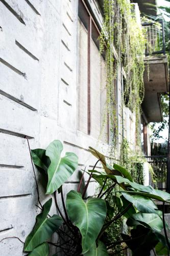 Κήπος έξω από το Serene Villa Hiriketiya