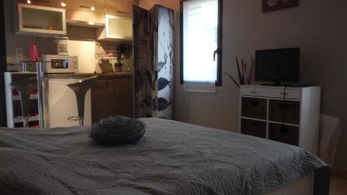 a room with a kitchen with a bed and a television at le gîte Lou Jas in Eyragues