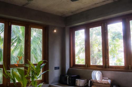 Κήπος έξω από το Serene Villa Hiriketiya