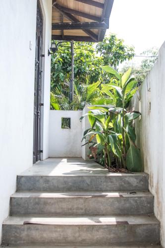 Κήπος έξω από το Serene Villa Hiriketiya