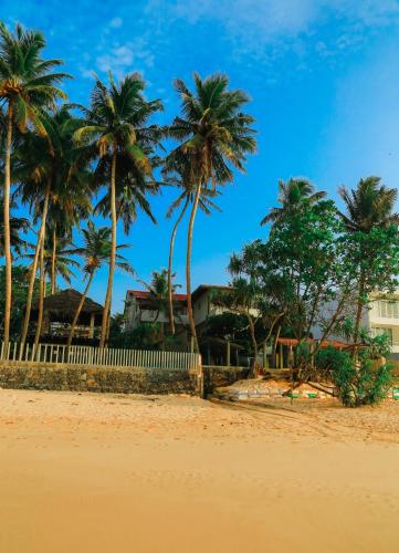 a group of palm trees on the beach at Paradise Beach House - 3 Bedrooms Apartment in Habaraduwa in Habaraduwa