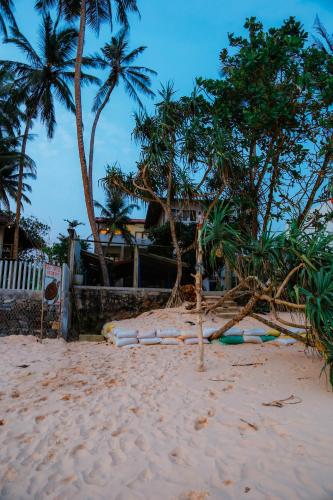 a tree on a sandy beach with palm trees at Paradise Beach House - 3 Bedrooms Apartment in Habaraduwa in Habaraduwa