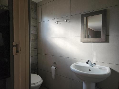 a bathroom with a sink and a toilet and a mirror at Snips Accommodation in Newcastle