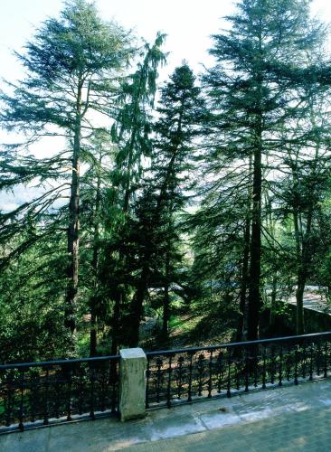 a fence in front of a forest of trees at Parador de Limpias in Limpias