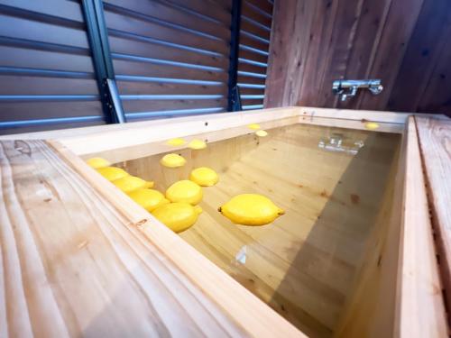 Fotografie z fotogalerie ubytování OWL RESORT ARIFUKU ONSEN v destinaci Gotsu