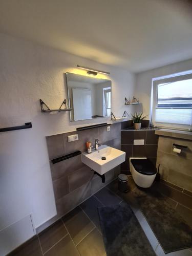 a bathroom with a sink and a mirror and a toilet at Möwenstübchen in Zingst