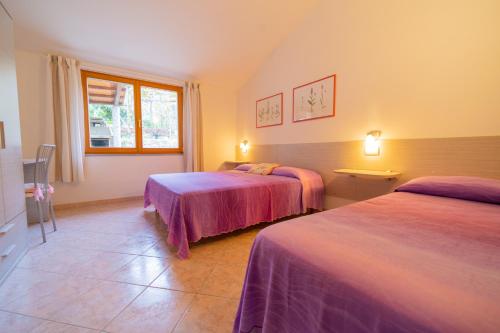 a hotel room with two beds and a window at Casa Pepe - Goelba in Pomonte
