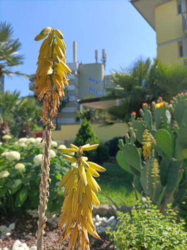 a plant with yellow flowers in a garden at Hotel Ai Pini in Grado