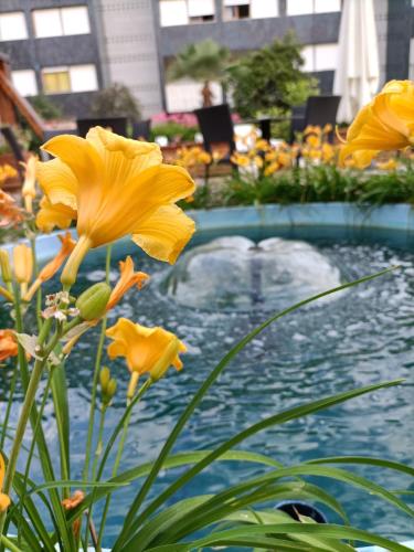 a group of yellow flowers in front of a fountain at Hotel Ai Pini in Grado