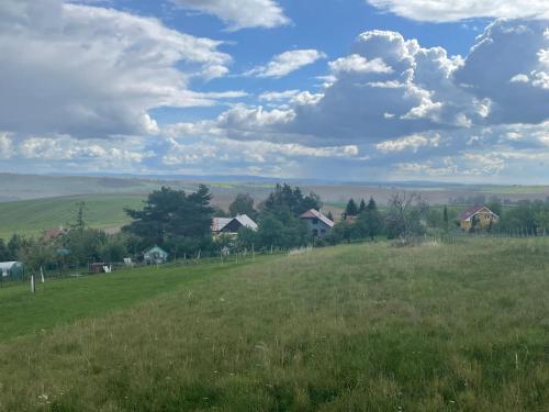 a field of green grass with houses in the distance at U Vlcaku in Vřesovice