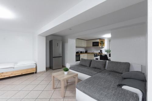 ein Wohnzimmer mit einem Sofa und einer Küche in der Unterkunft T&K Apartments - Dusseldorf - 2 rooms - Ground floor in Düsseldorf