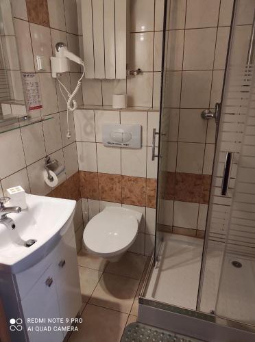 a bathroom with a shower and a toilet and a sink at MADOHORA_SŁOŃCE in Zaryte