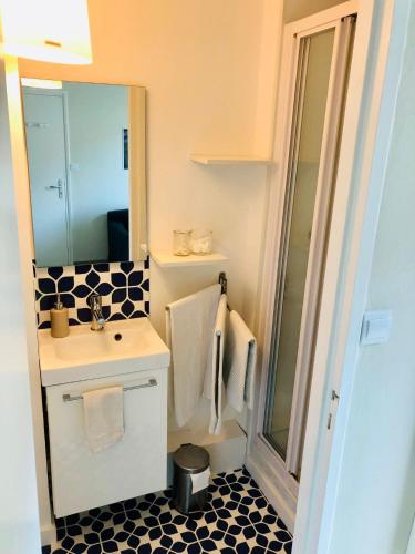 une salle de bain avec un lavabo et une douche avec un miroir dans l'établissement Les Pieds dans l'Eau, frond de mer, à Boulogne-sur-Mer