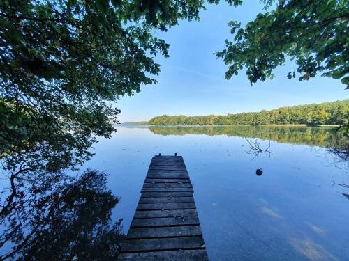 a dock in the middle of a lake with trees at Hytte Narie 2 in Bogaczewo