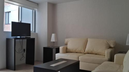 a living room with a couch and a tv at Grupo Kings Suites -Monte Chimborazo 537 in Mexico City