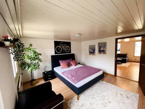 una camera con letto e un soggiorno di Newly furnished beautiful old building apartment in the center with Apple TV a St. Gallen