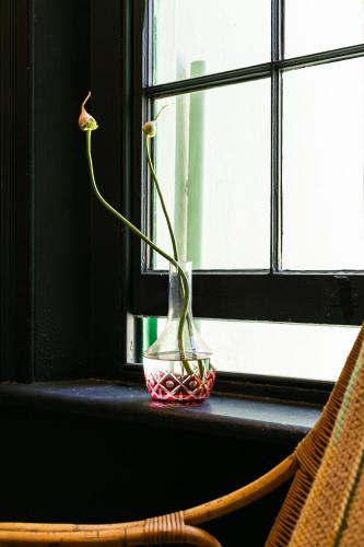 Fotografie z fotogalerie ubytování Hotel Lola v Kapském Městě