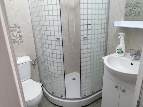 ein Badezimmer mit Dusche, Toilette und Waschbecken in der Unterkunft Ady & Marcy in Onești