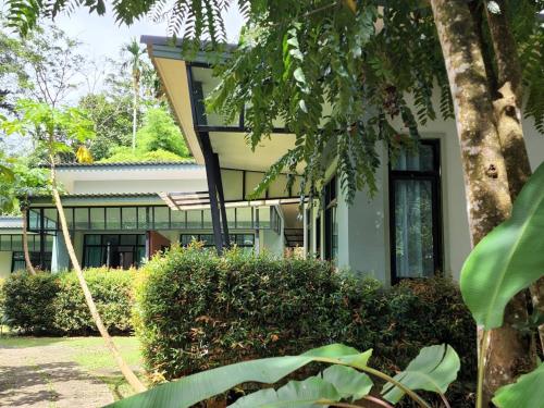 a green house with a tree in front of it at Snapper House in Khao Lak