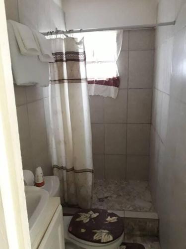 a bathroom with a broken shower curtain and a toilet at Home Style Apartment J in Roseau